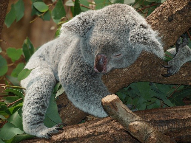 sommeil